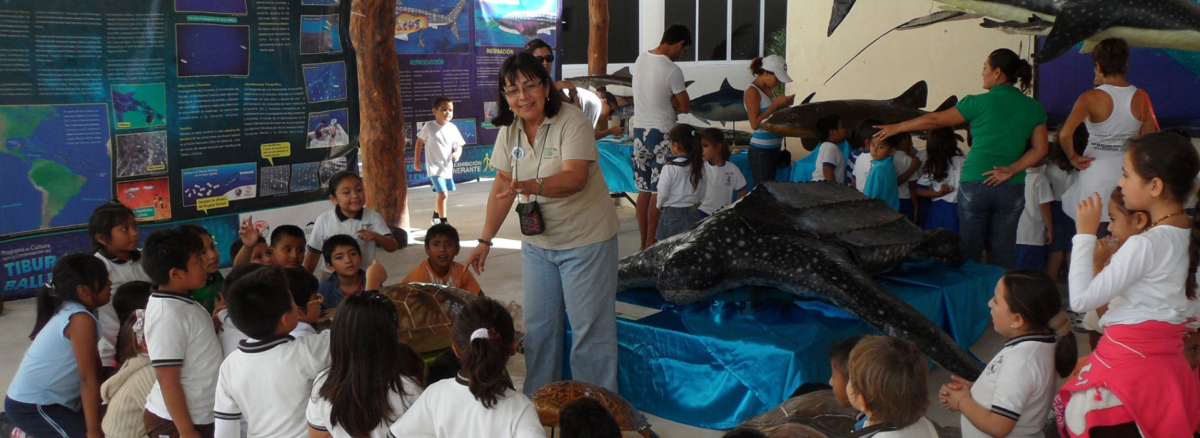 Ein Projekt unterstützen Ein Projekt unterstützen