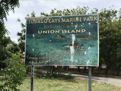 Tobago Cays Marine Park