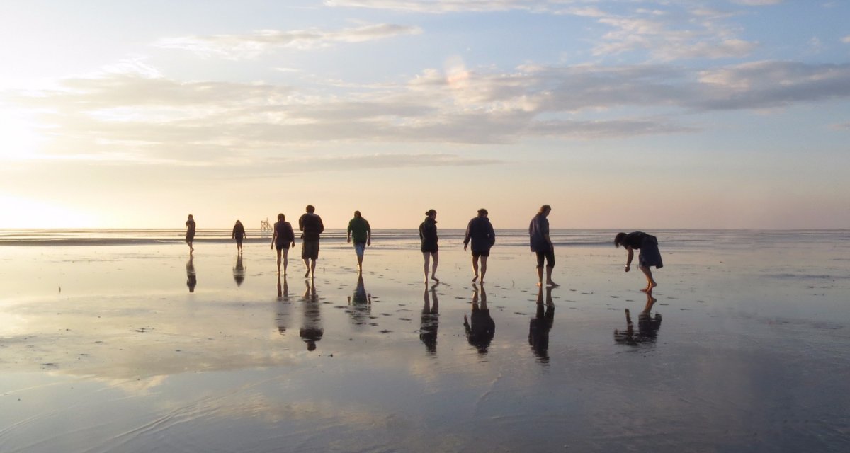 Beachexploer - am Nordseestrand © RBorcherding/Schutzstation Beachexploer - am Nordseestrand © RBorcherding/Schutzstation