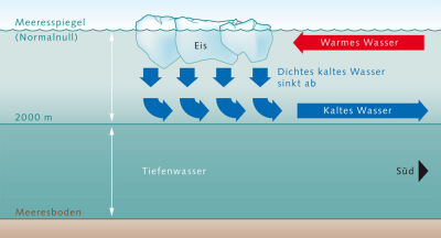 Funktionsweise der Konvektion im Nordatlantik Funktionsweise der Konvektion im Nordatlantik