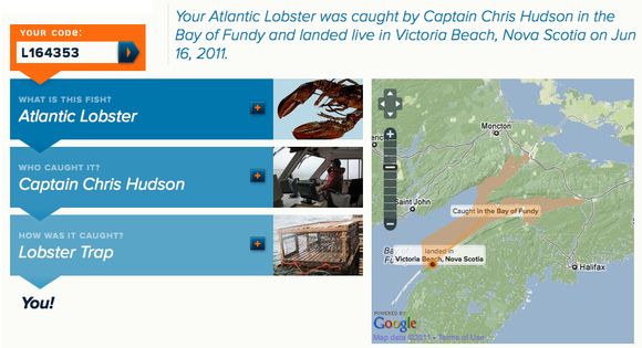 Die Etikettierung gibt Auskunft über Die Spezies, Den Fischer und seine Fangmethode, Das Fangdatum und den Fangort Die Etikettierung gibt Auskunft über Die Spezies, Den Fischer und seine Fangmethode, Das Fangdatum und den Fangort