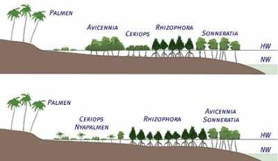 oben: Ostafrika, unten Nordaustralien oben: Ostafrika, unten Nordaustralien