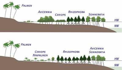 oben: Ostafrika, unten Nordaustralien