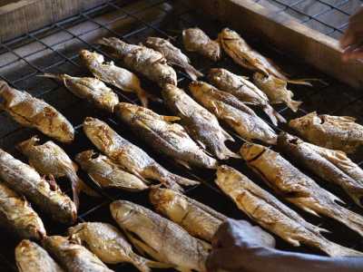 Fisch Fisch