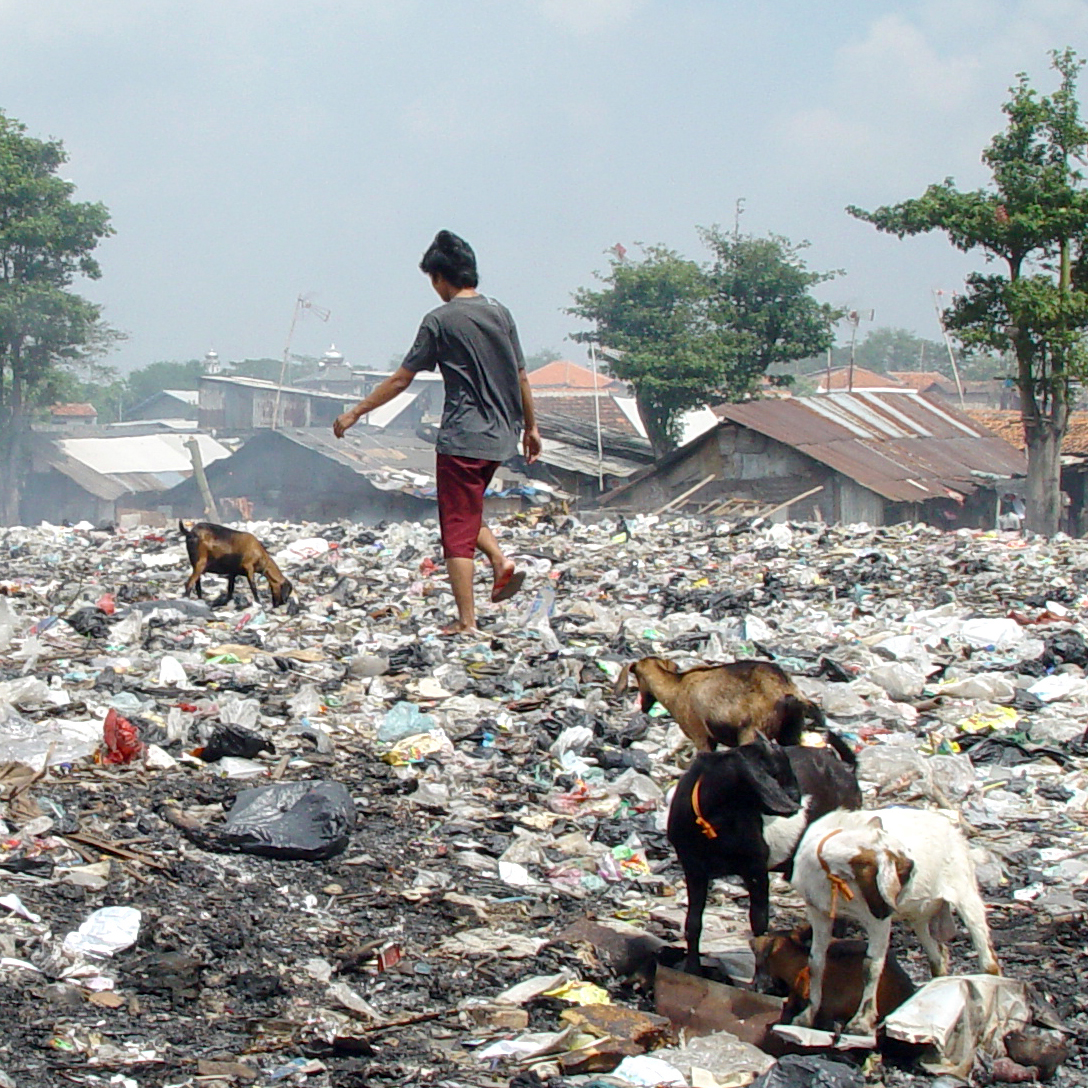 Indonesien: Jakartas Green Monsters
