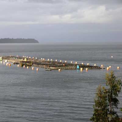 Chile: gestión costera en los golfos de Ancud y Corcovado