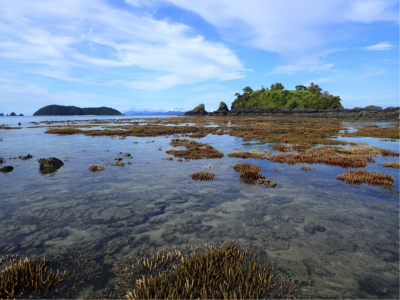 Myanmar coastal area