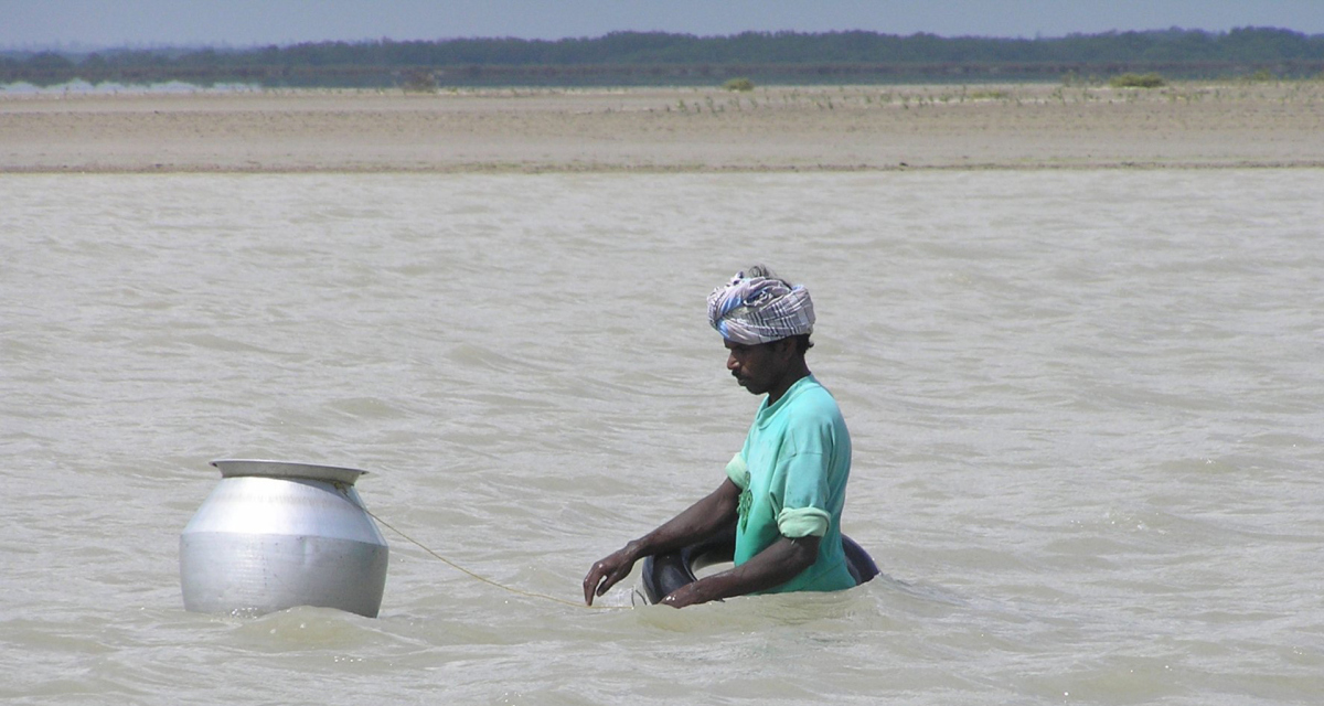 Small scale fisher in India