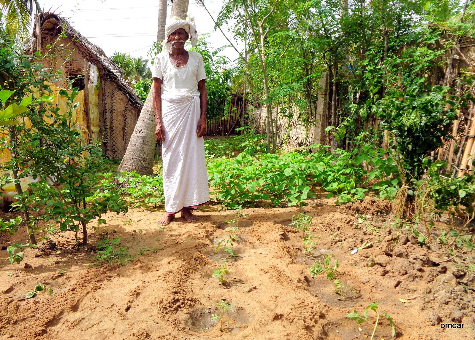 First steps in organic farming