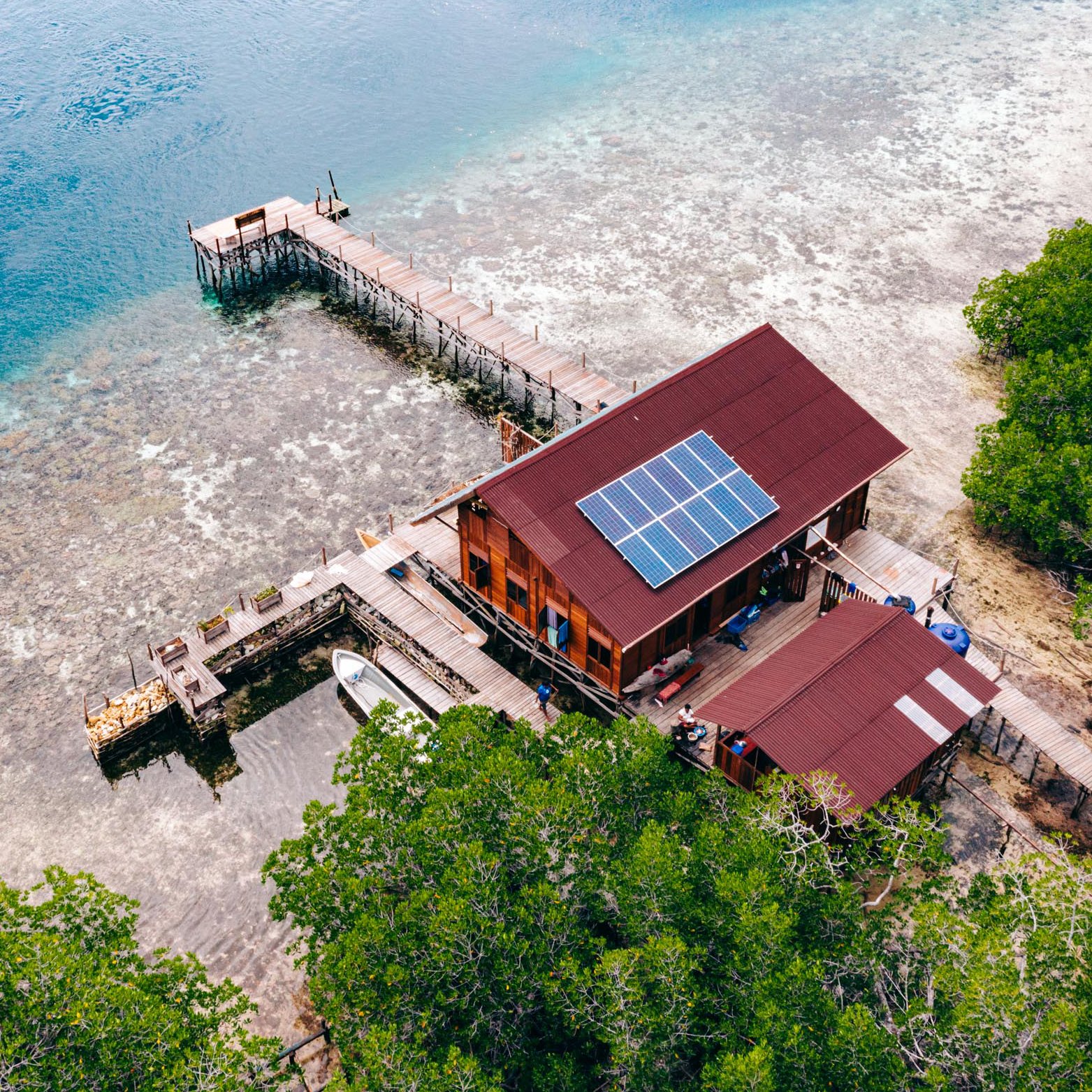 Indonesia: Child Aid Papua Environmental School