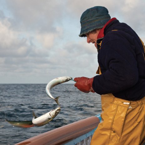 Small scale fisheries