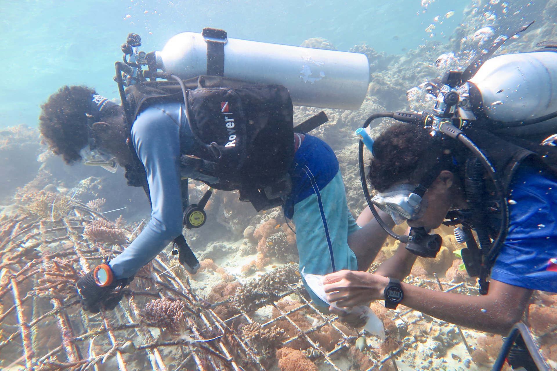 conservation conservation